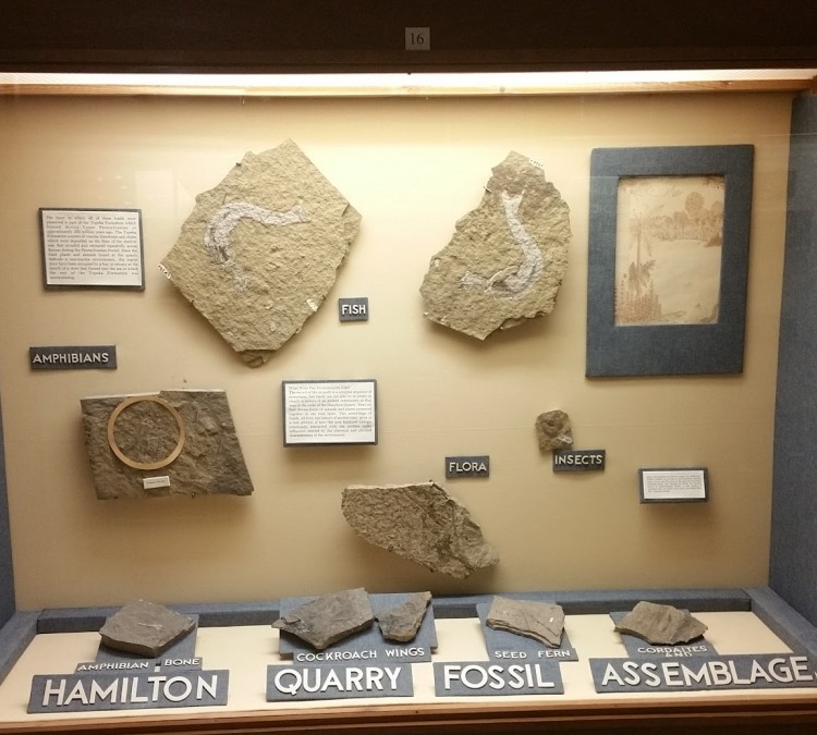 johnston-geology-museum-photo